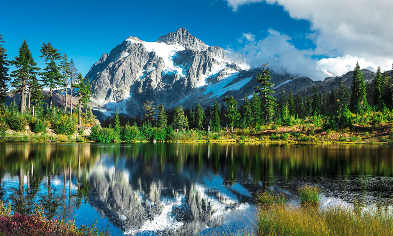 Alpine Recovery Center Arlington WA