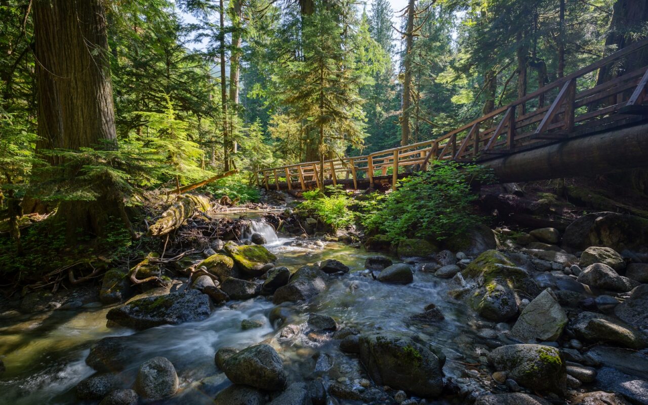 Outpatient Drug Rehab in Everett WA
