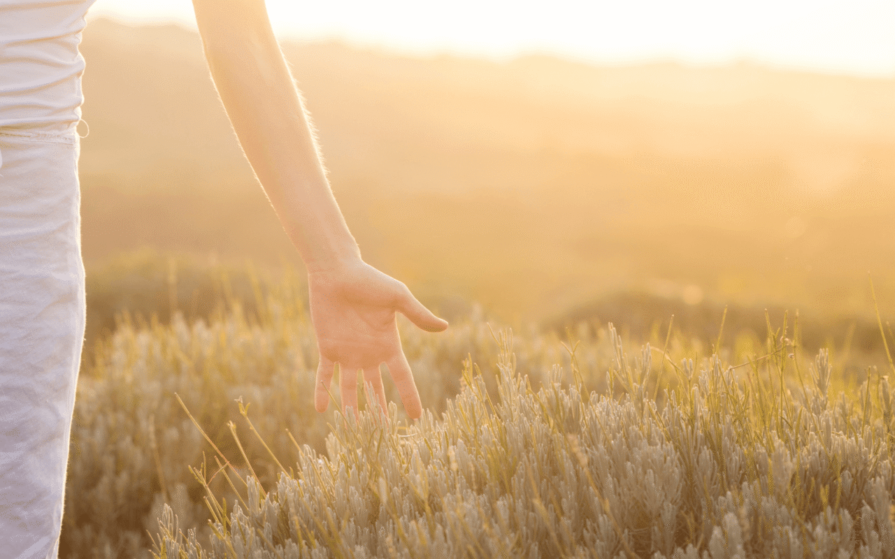 Alcohol Rehab Arlington